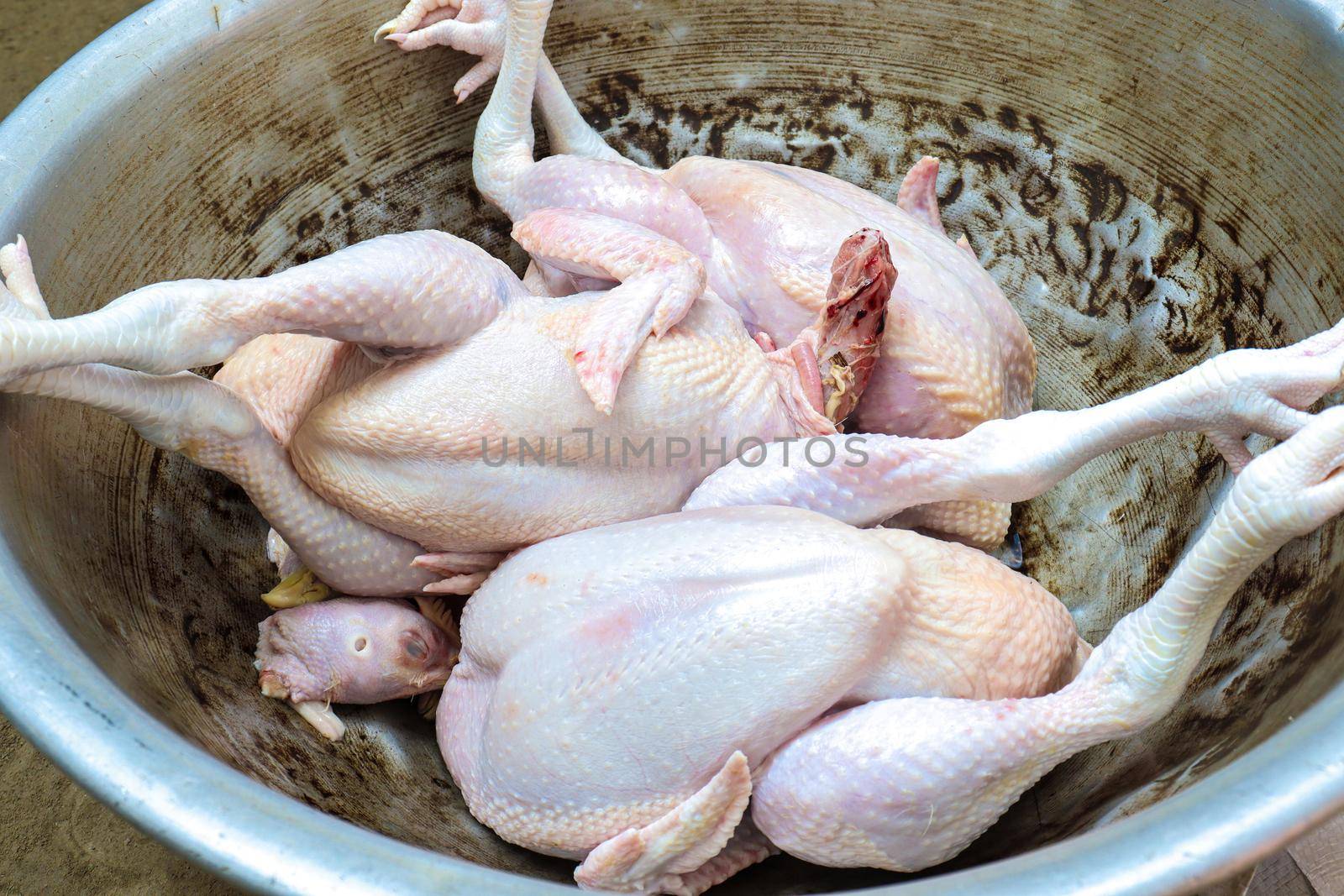 tasty chicken stock on dish by jahidul2358