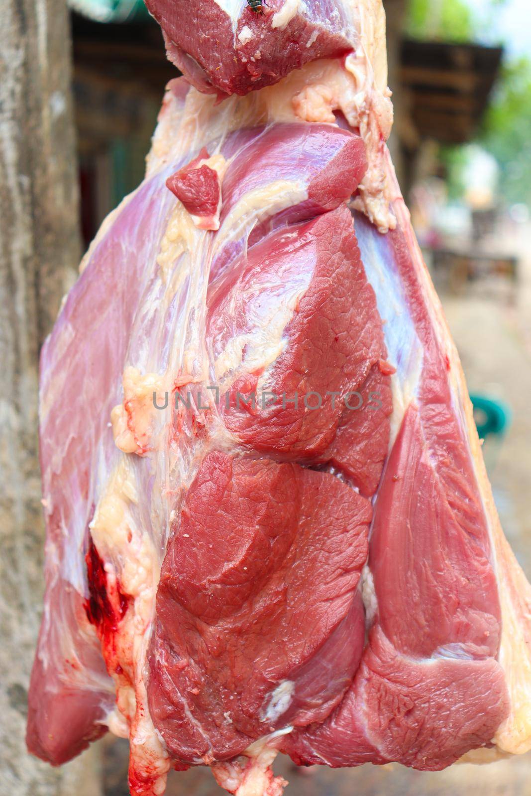 red colored beef closeup with hanging on shop for sell