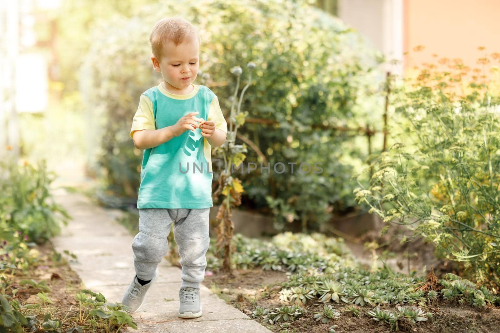 Cute three-year-old child walks in his grandmother's garden during the summer among various green plants, holding a ring-shaped roll in his hands.