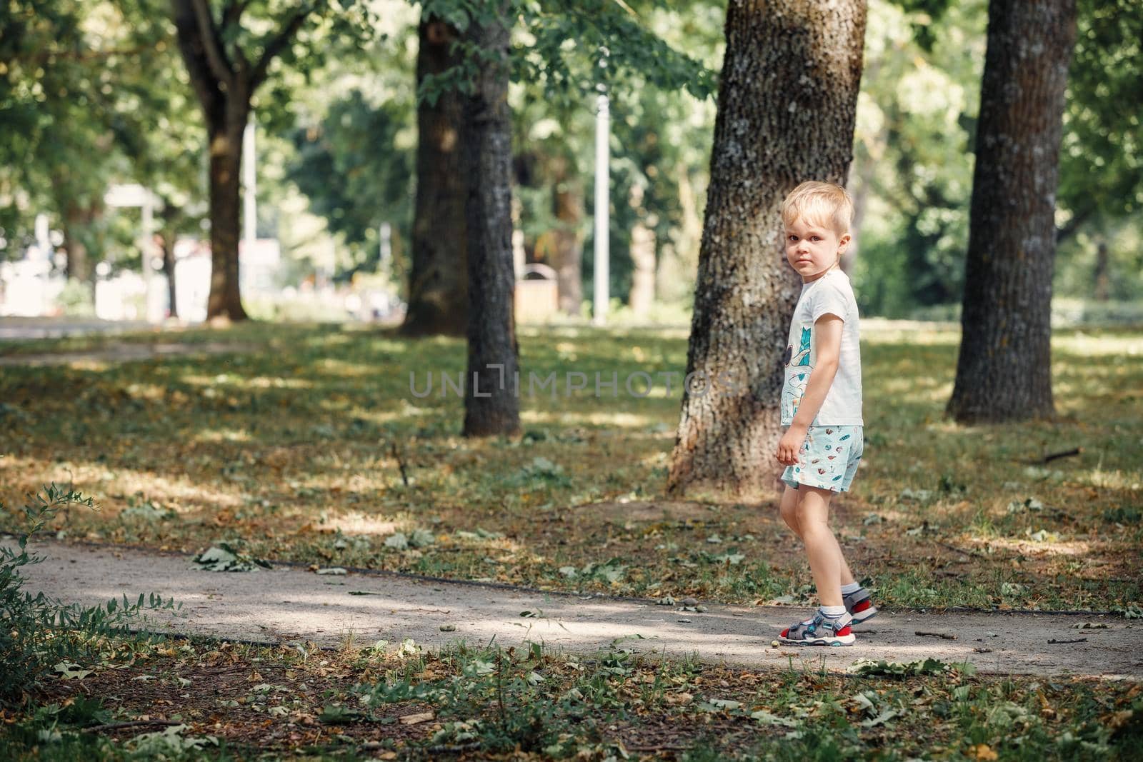 A little cute boy walks in a city park, a beautiful summer sunny day, big oak trees around by Lincikas