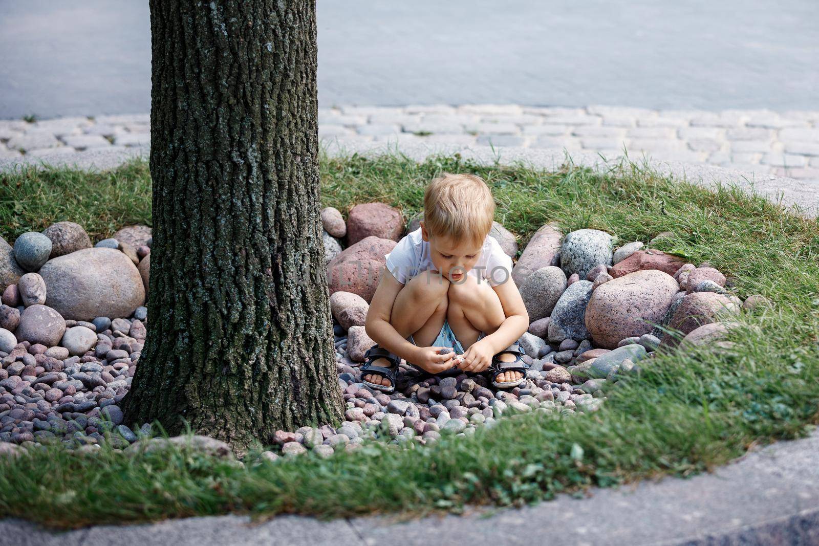 A little boy squats by a large tree trunk and plays with pebbles.