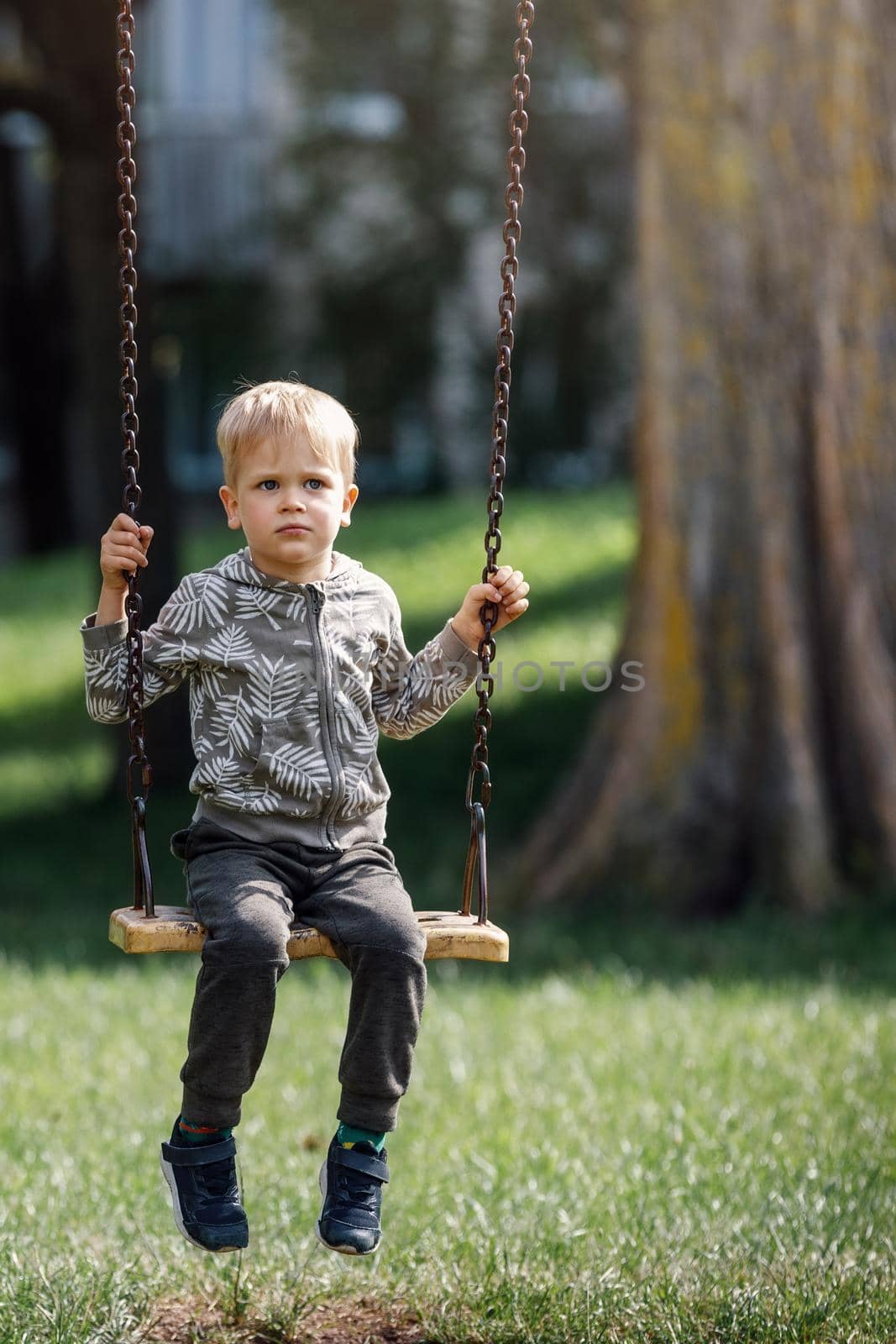 A sad, dreaming little boy swings in a city park under a big tree by Lincikas