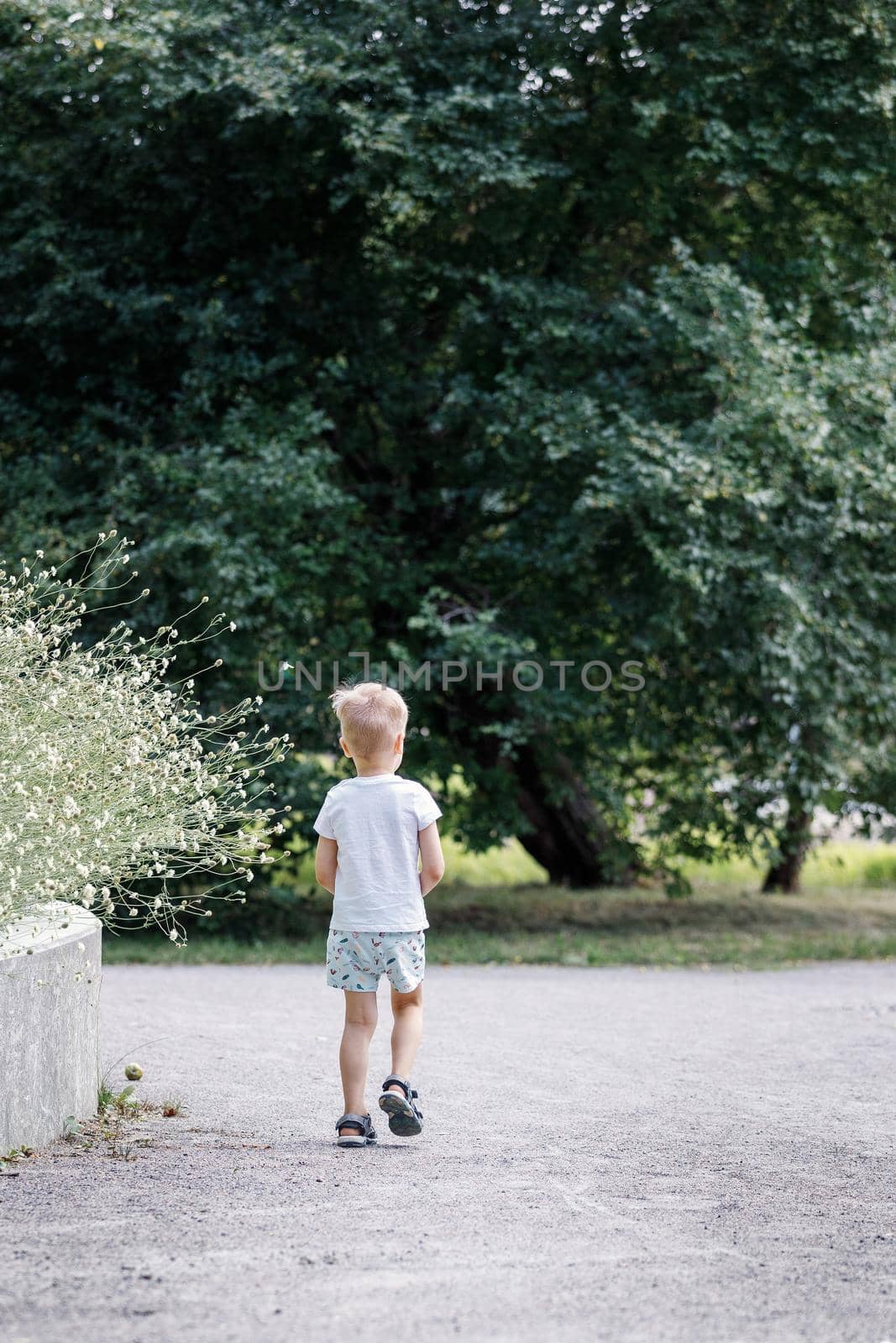 The little boy got lost in the park. The child is alone in the city park. by Lincikas