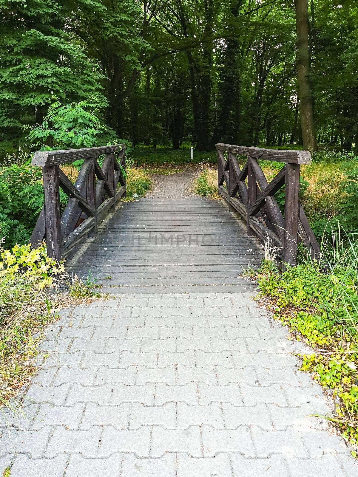 Small wooden footbridge in small park in city center by Wierzchu