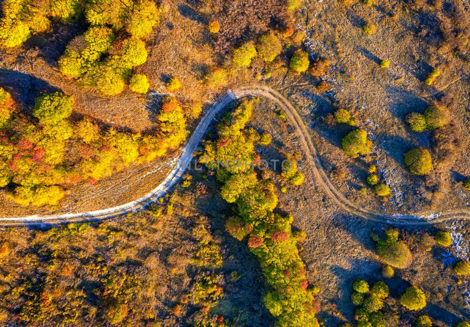 aerial top view from drone of park autumn landscape with trees, colorful lawn, and walking path