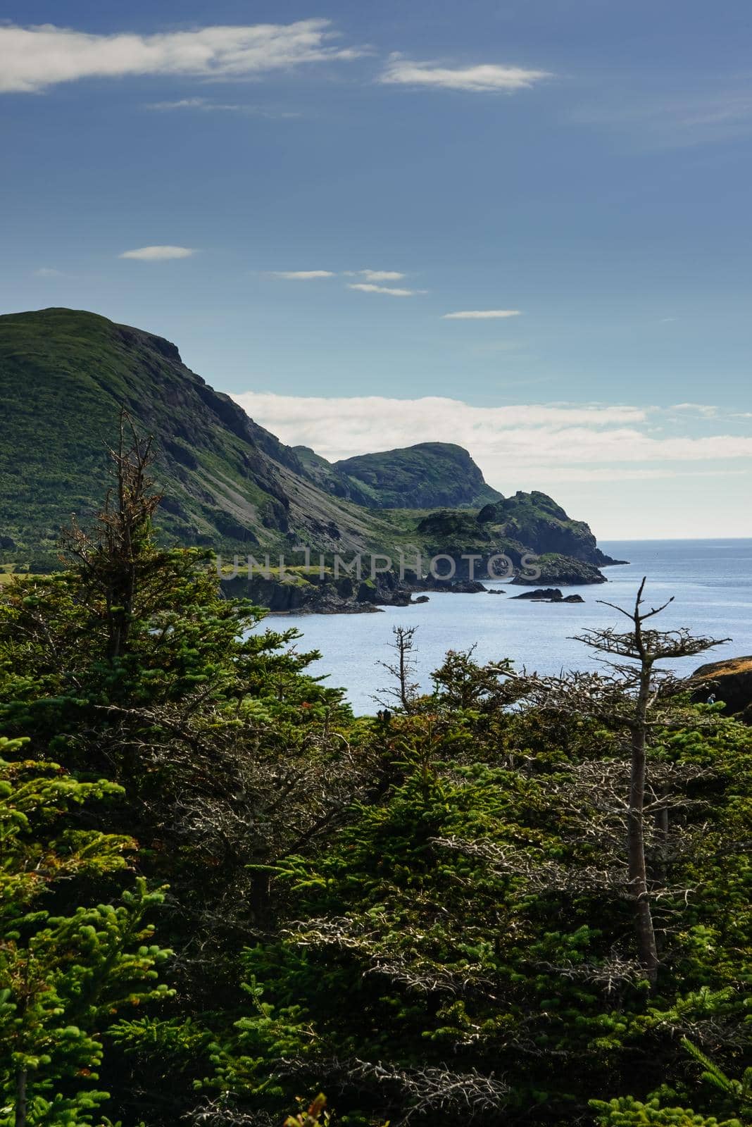 Newfoundland's Atalntic Coastline by lisaldw