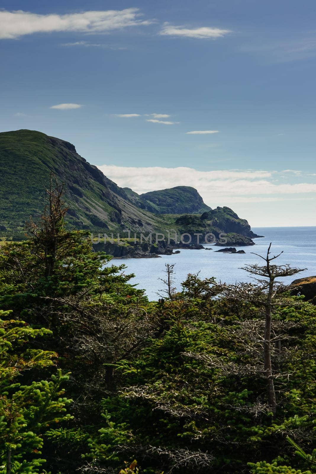 Newfoundland's rugged Atantic Coastline ocean view