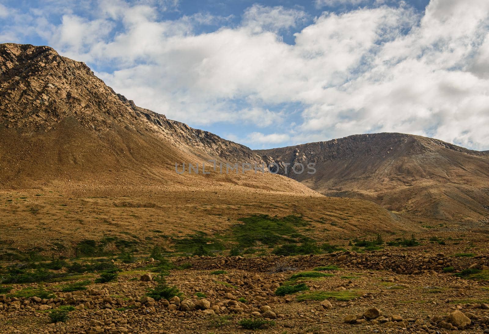 Newfoundlands' ancient earth's rock the Tablelands