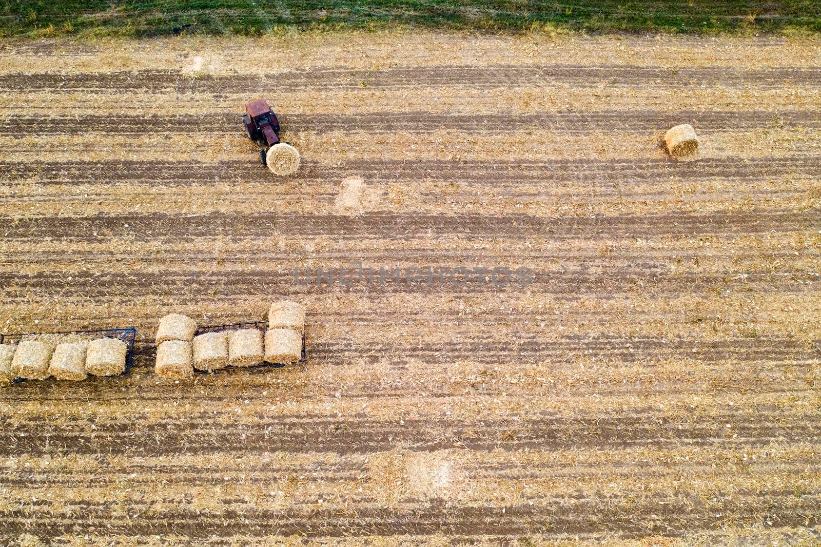 Aerial view from drone to the tractor collect bales of hay after harvesting on a wheat field.