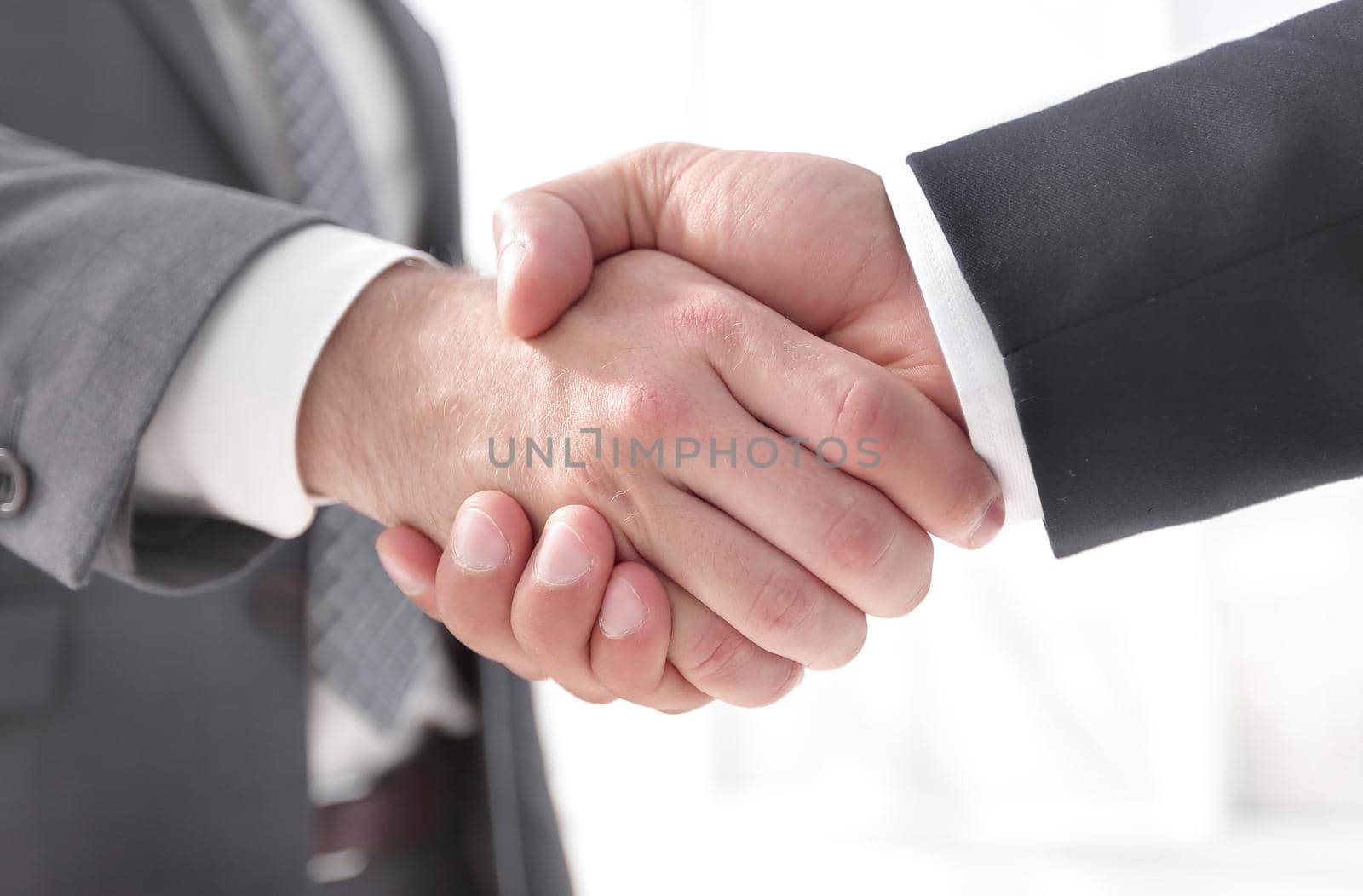 Closeup of Business Leader Shaking Partner Hand by asdf