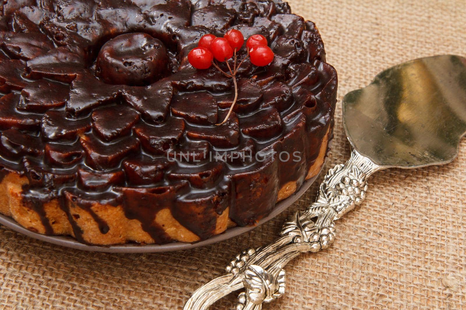 Chocolate cake decorated with bunch of viburnum and silver cake lifter beside it on table with sackcloth