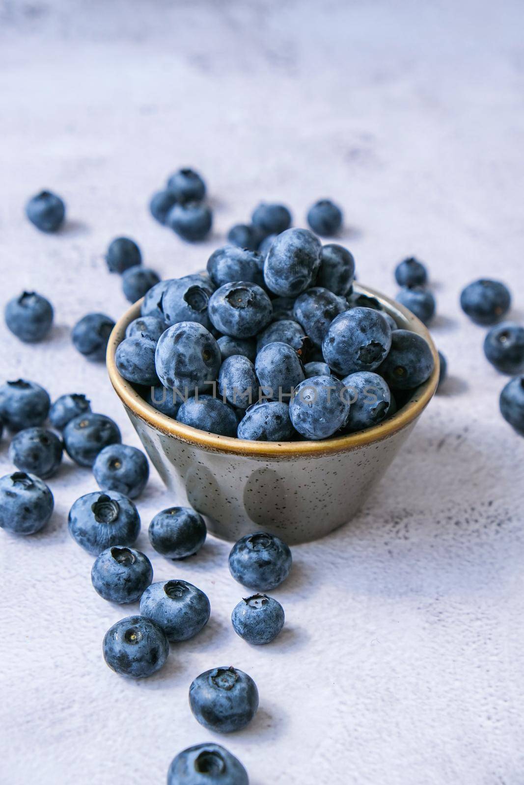 Fresh blueberries background with copy space for your text. Blueberry antioxidant organic superfood in a bowl concept for healthy eating and nutrition. Harvesting concept. Vegan Vegetarian