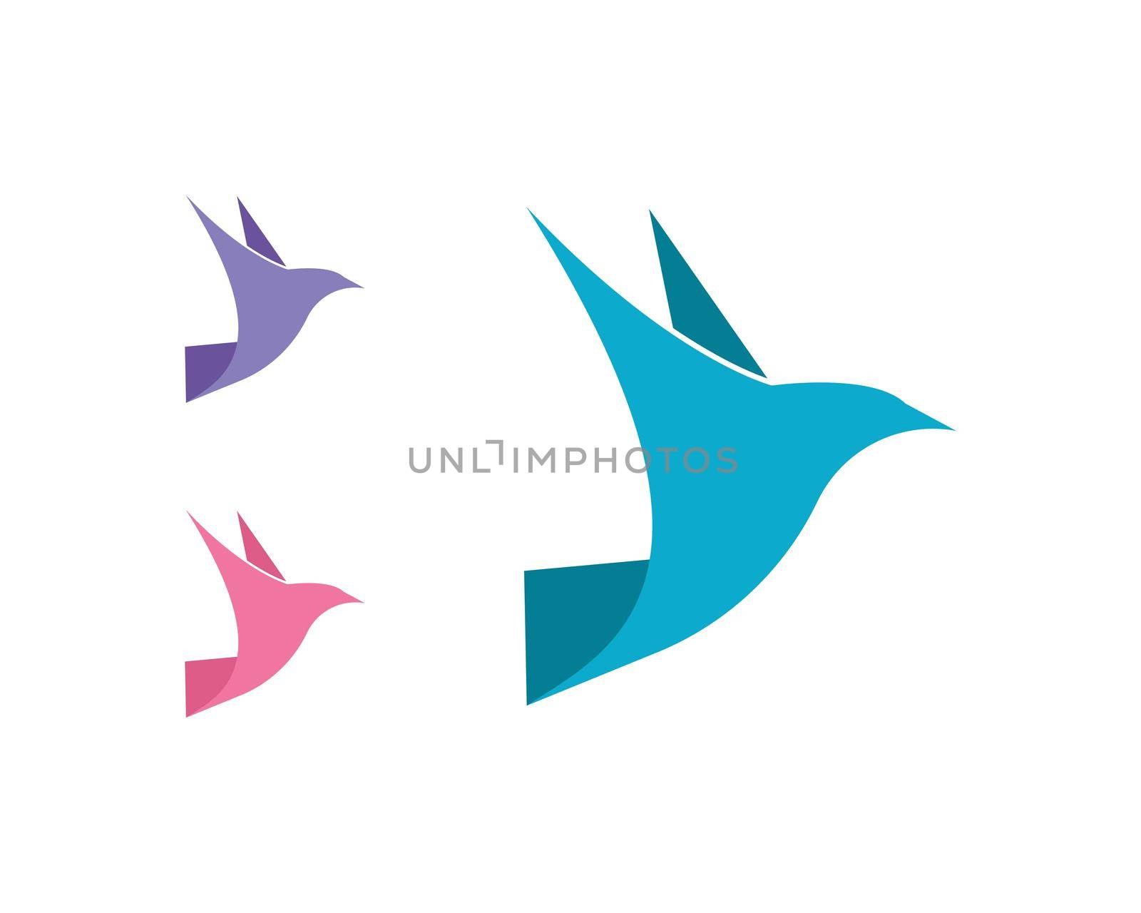 Bird Dove Logo Template by awk