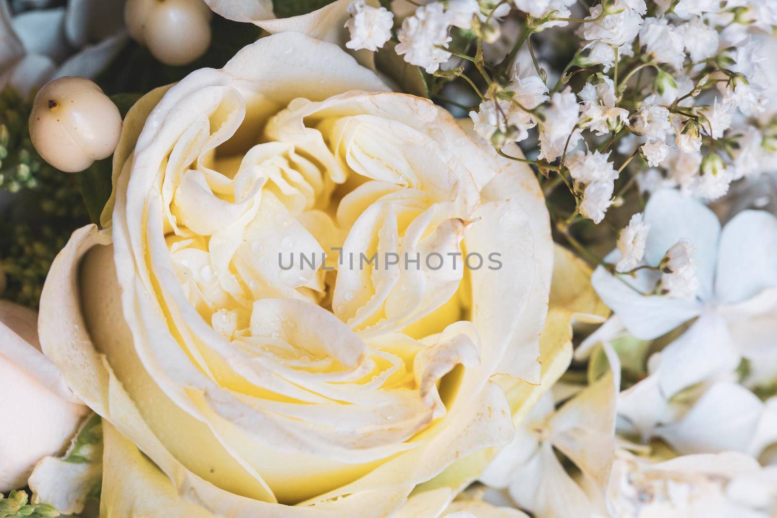 detail of roses and decorative flowers used to celebrate weddings