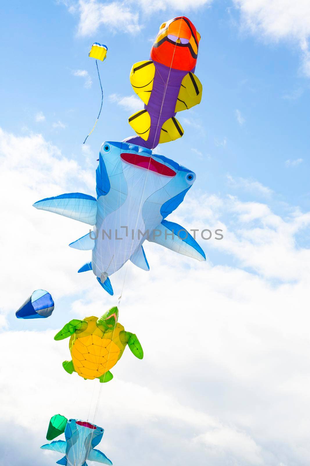 Flying kite with the shape of sea animals, manta, turtle and fish.