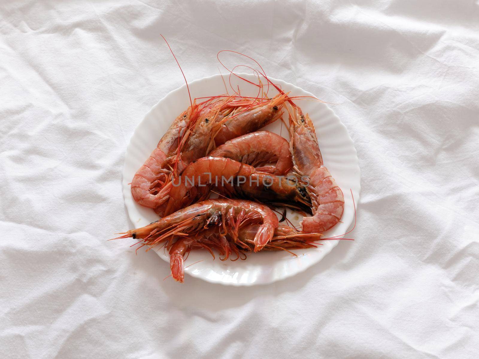 Plate with raw shrimps on top of a white rough paper surface by WesternExoticStockers