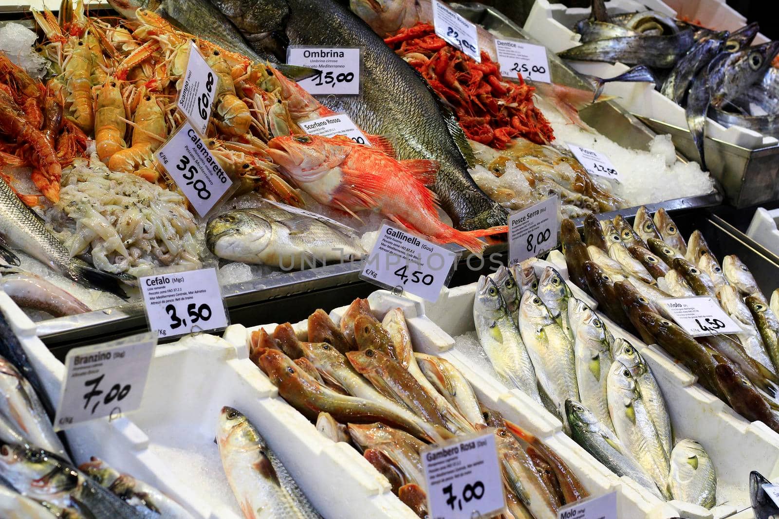 Fresh fish on display ready for sale in the market of the city.