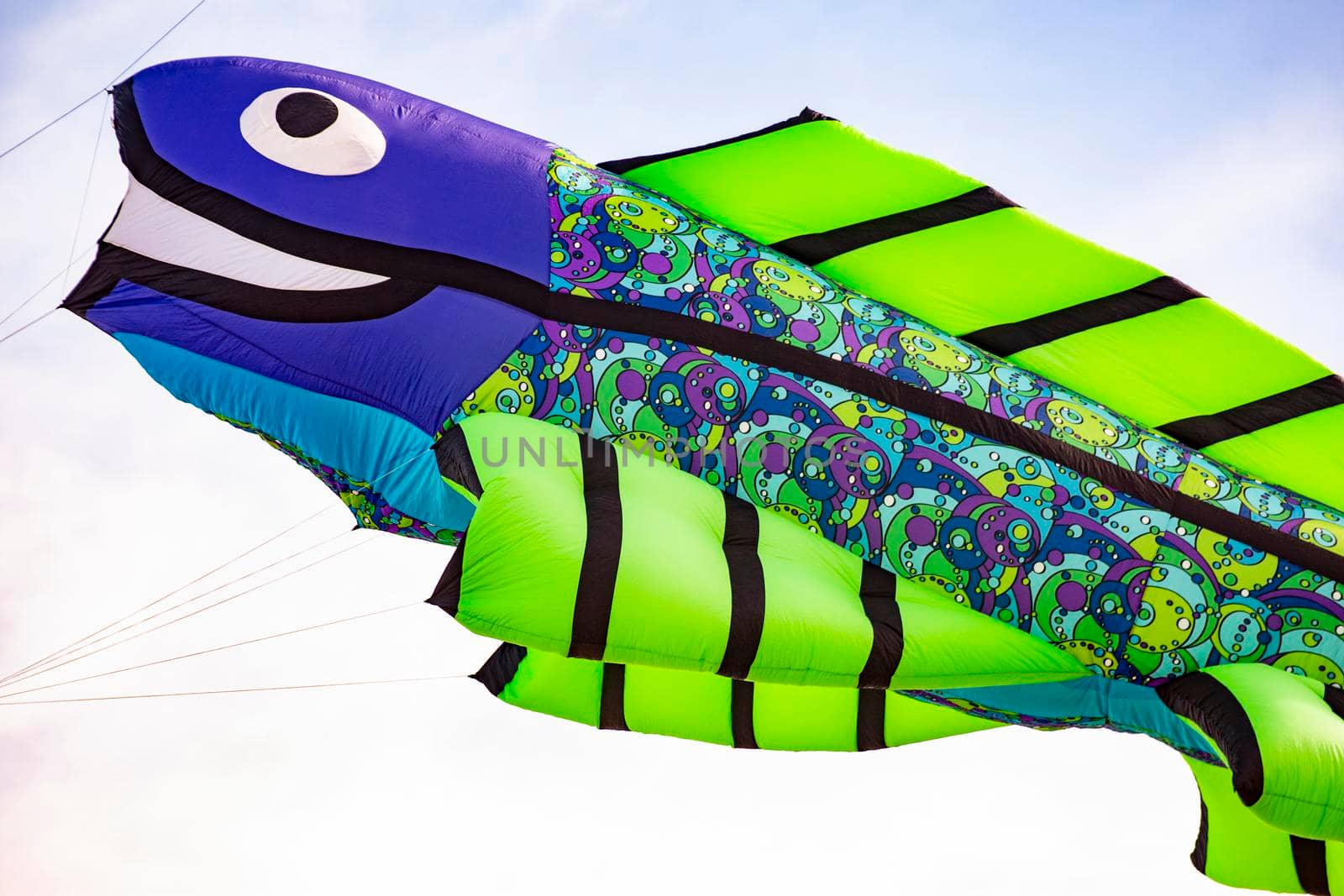 Flying kite with Fish-shaped colored green and purple
