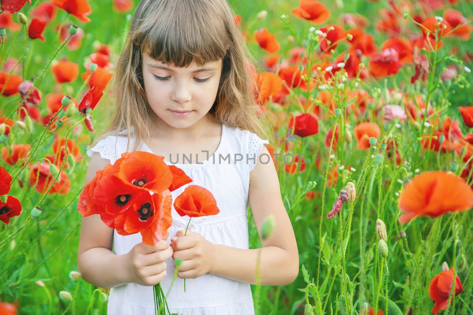 children girl in a field with poppies. selective focus. by yanadjana