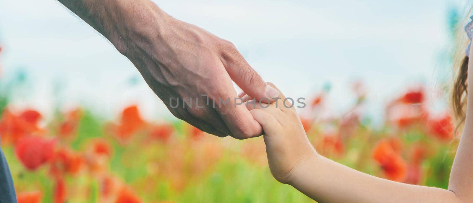 children girl in a field with poppies. selective focus. nature.