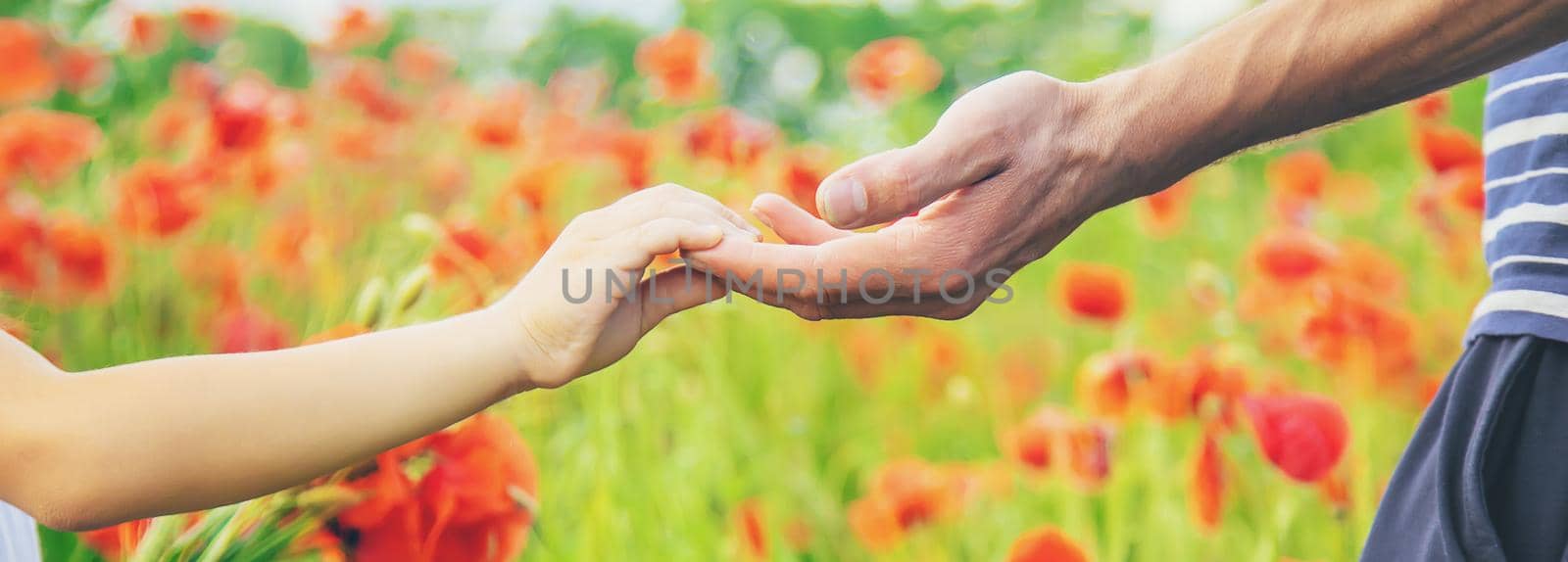 children girl in a field with poppies. selective focus. by yanadjana