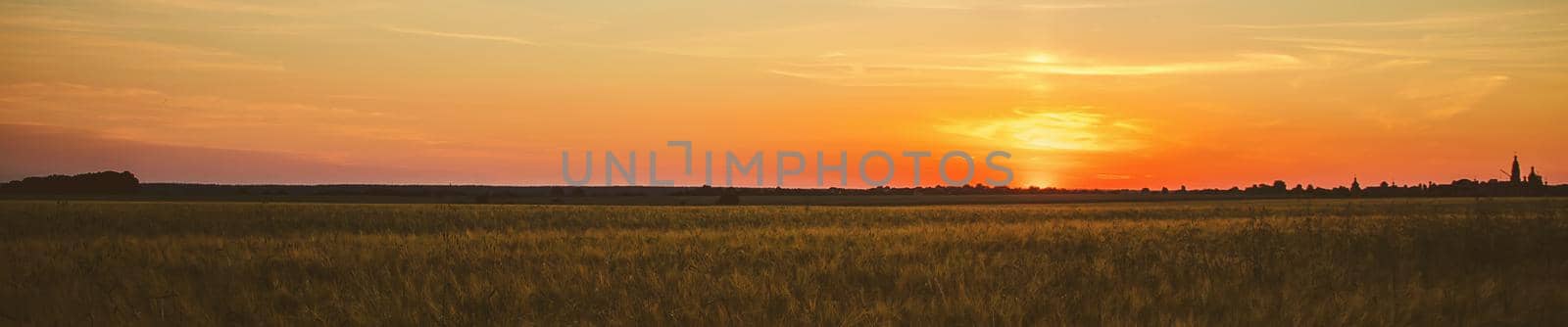 Sunset on the field in summer. Selective focus. by yanadjana