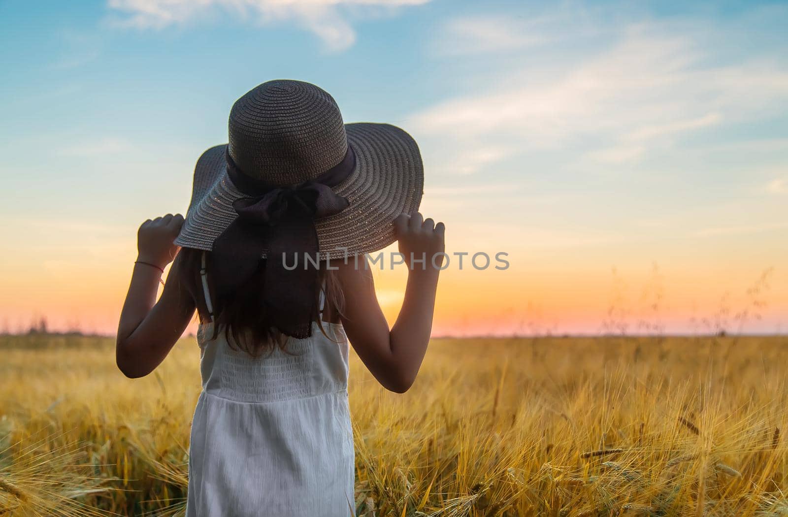 A child looks at the sunset in a wheat field. Selective focus. Kid.