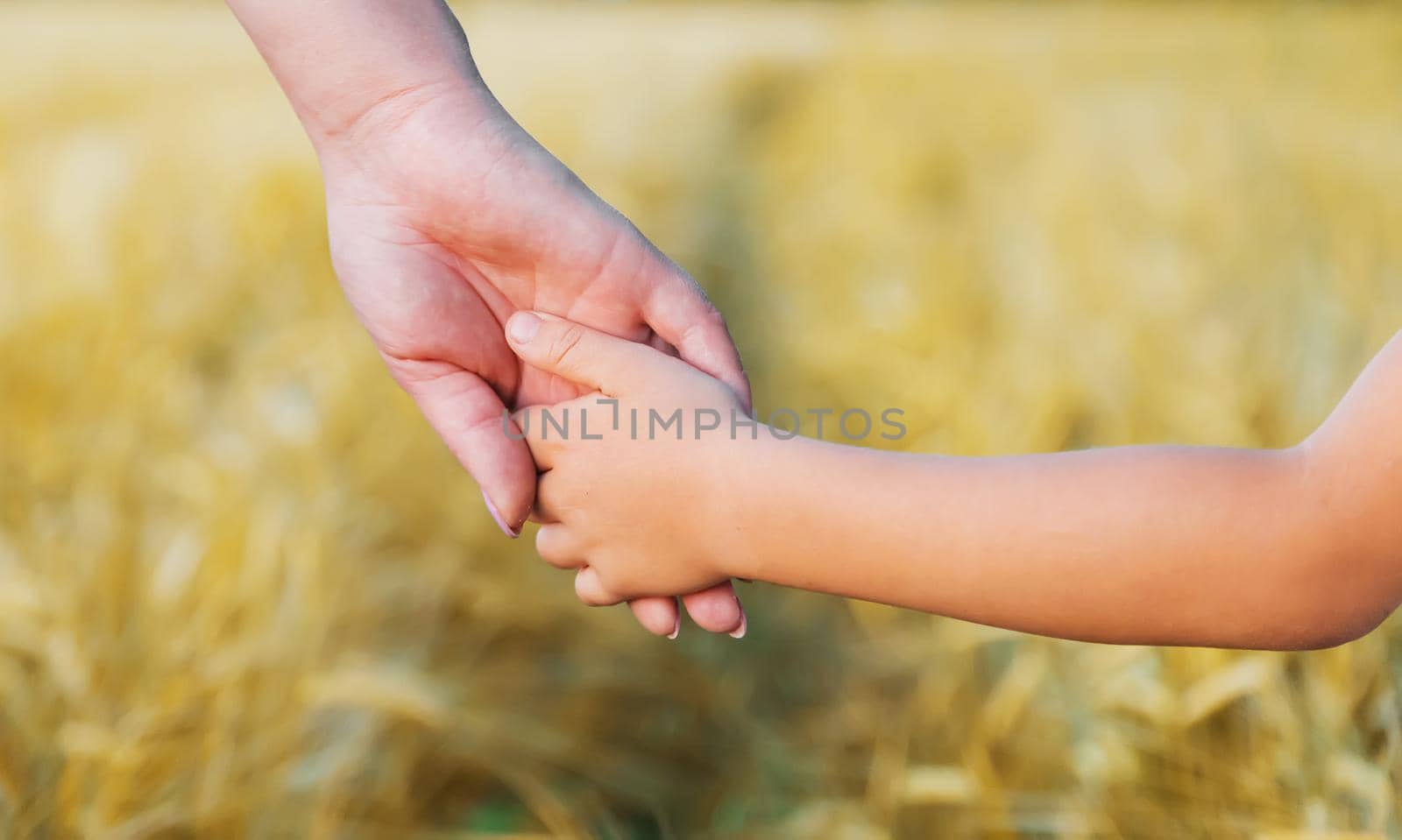The child walks with her mother by the hand. Selective focus. Kid.