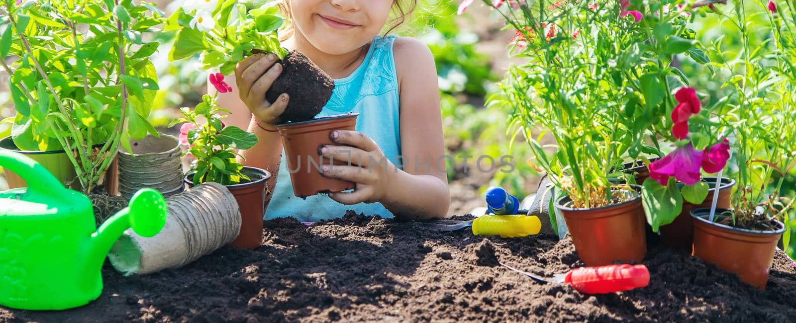 A little girl is planting flowers. The young gardener. Selective focus. nature. by yanadjana