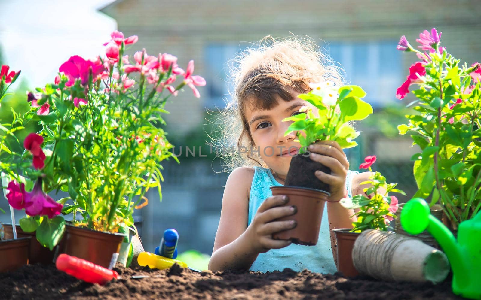 The child is planting flowers in the garden. Selective focus. by yanadjana