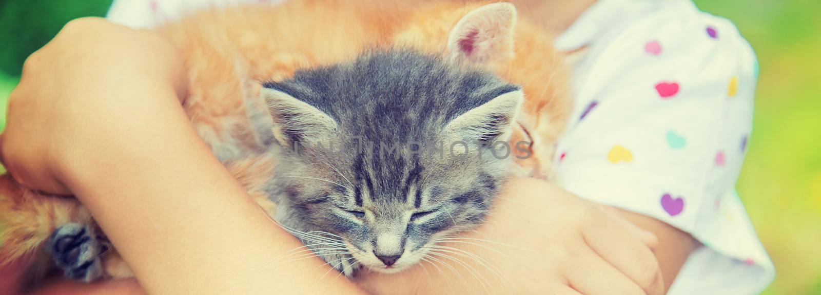 Little kittens in the hands of children. Selective focus. Animals.