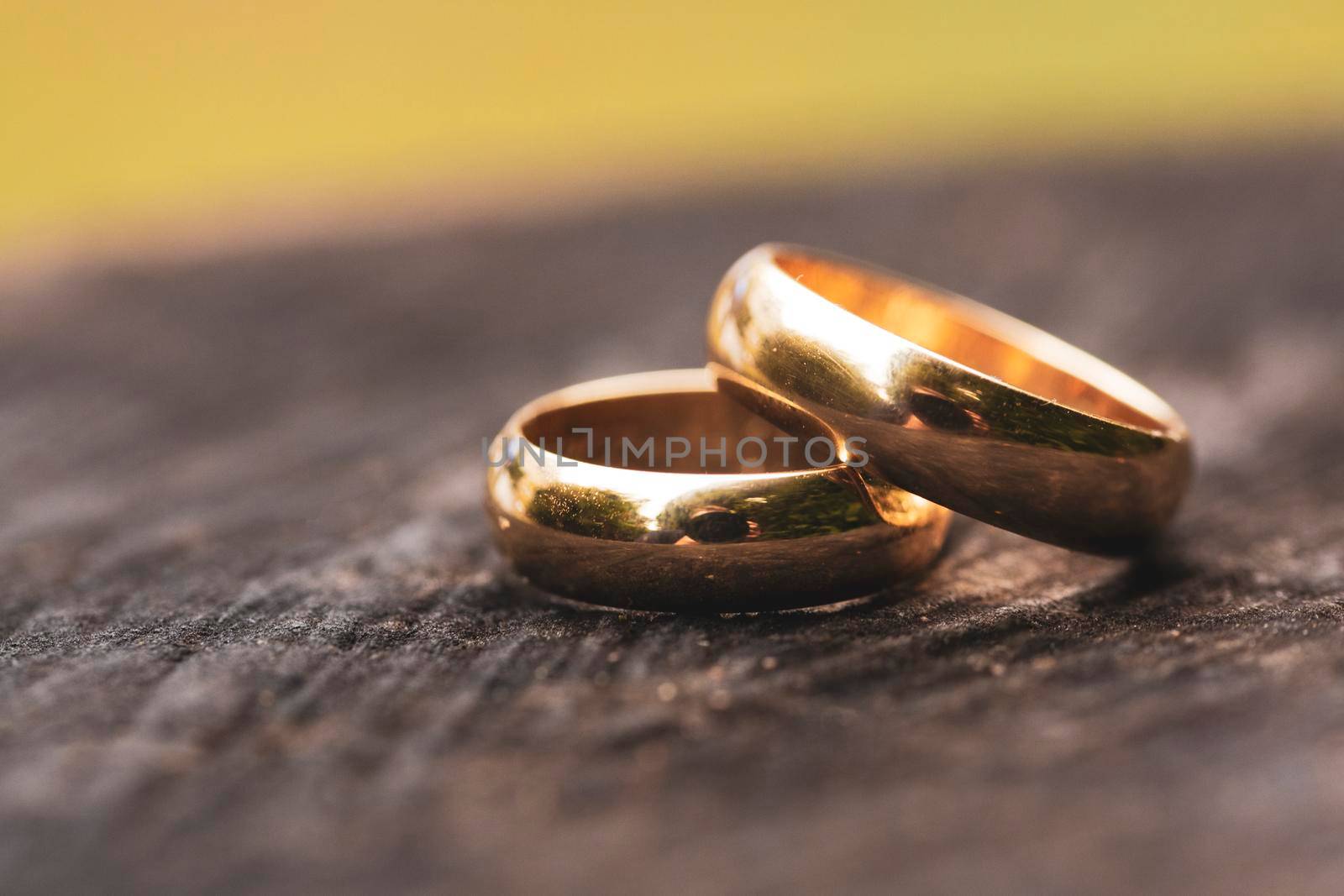detail of two wedding rings laid on top of a tree trunk