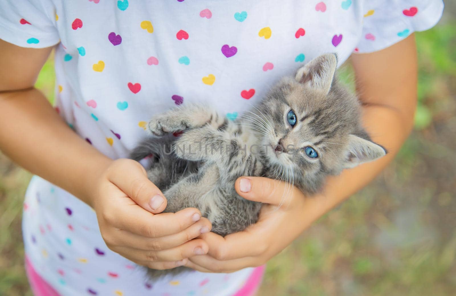 Little kittens in the hands of children. Selective focus. by yanadjana