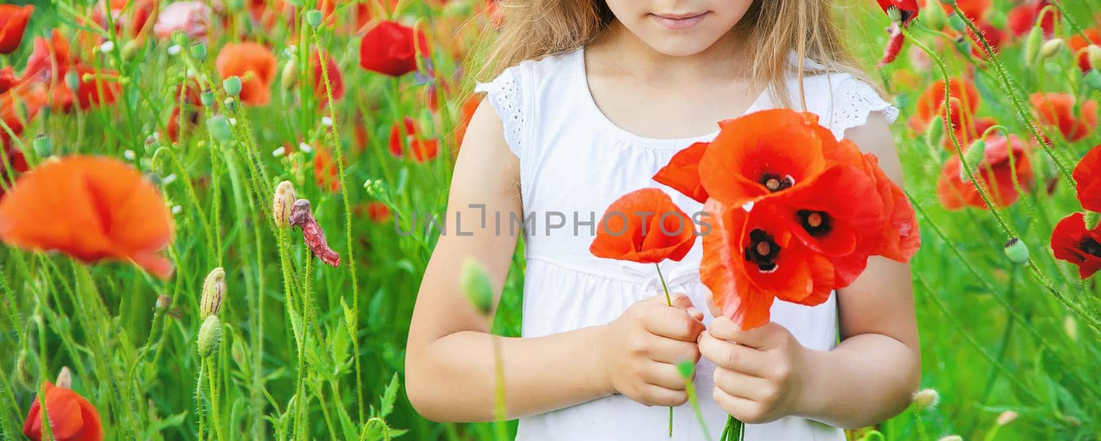 children girl in a field with poppies. selective focus. by yanadjana