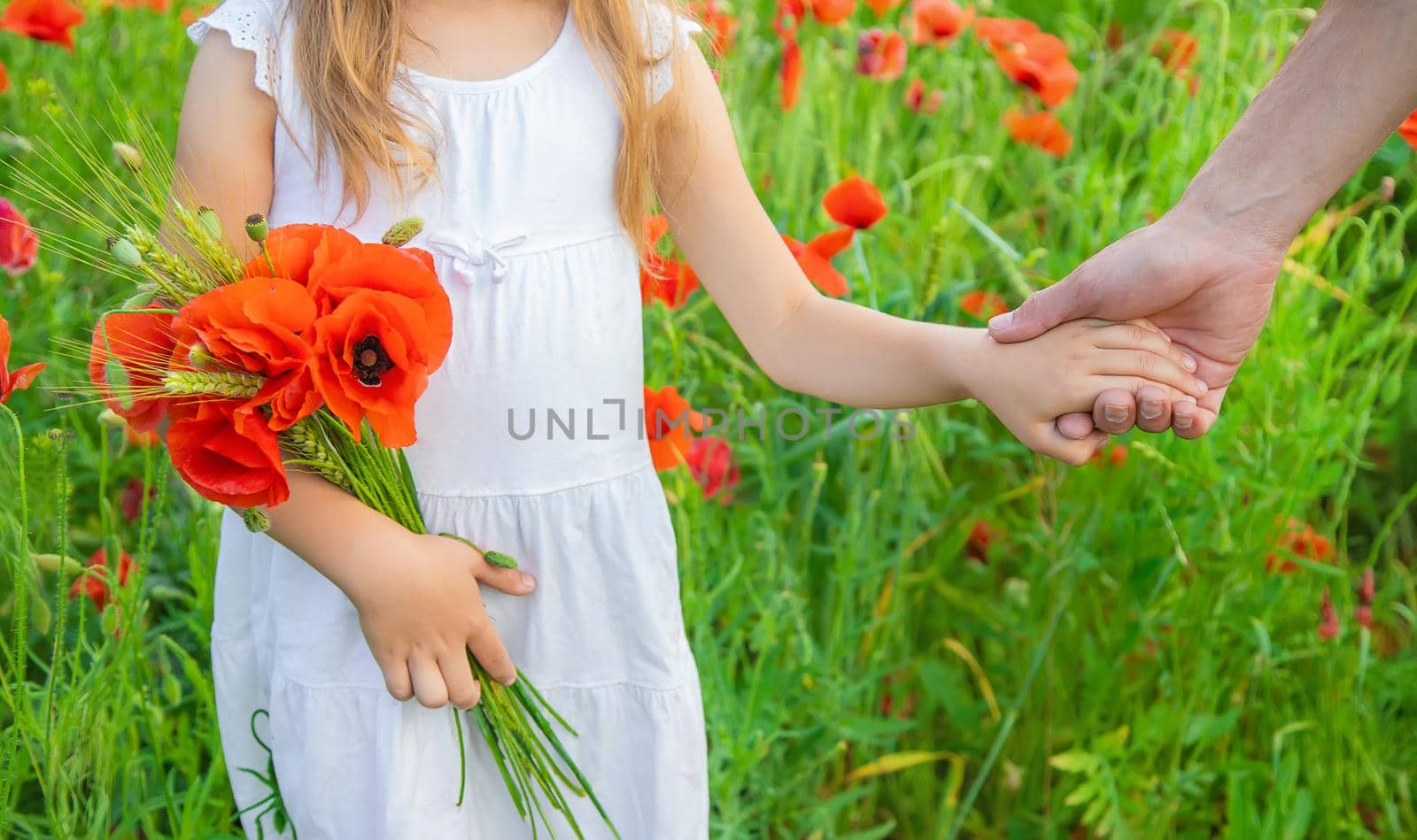 children girl in a field with poppies. selective focus. nature.