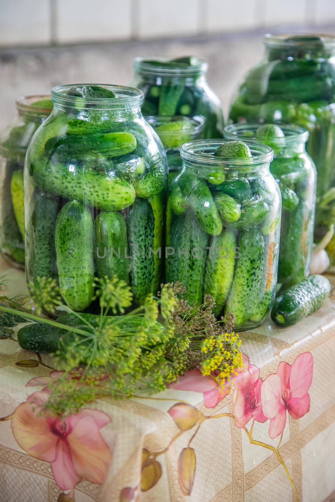 preservation of fresh house cucumbers. Selective focus. nature