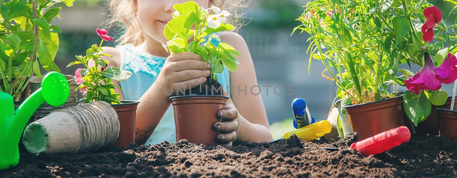 A little girl is planting flowers. The young gardener. Selective focus. nature. by yanadjana