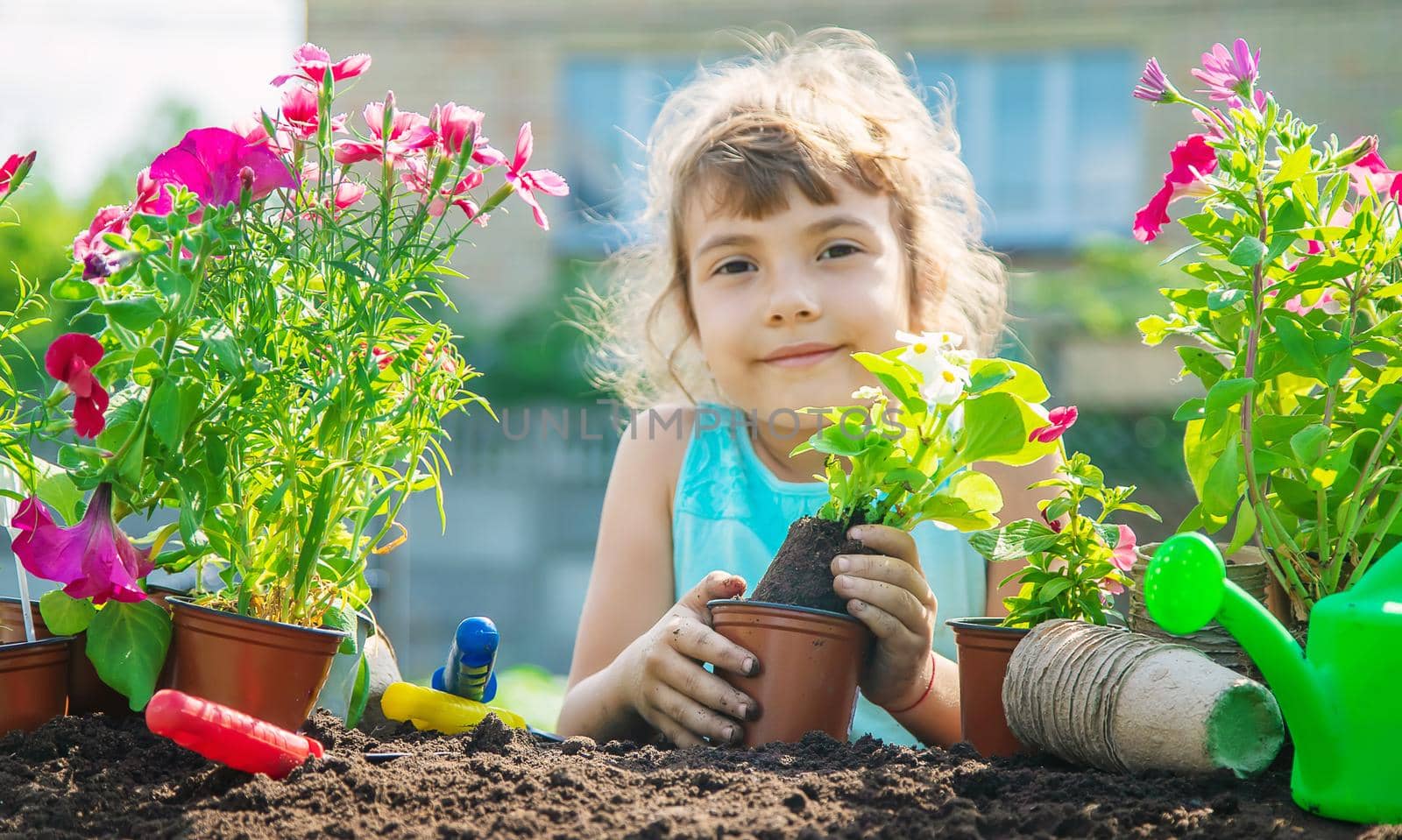 A little girl is planting flowers. The young gardener. Selective focus. nature. by yanadjana