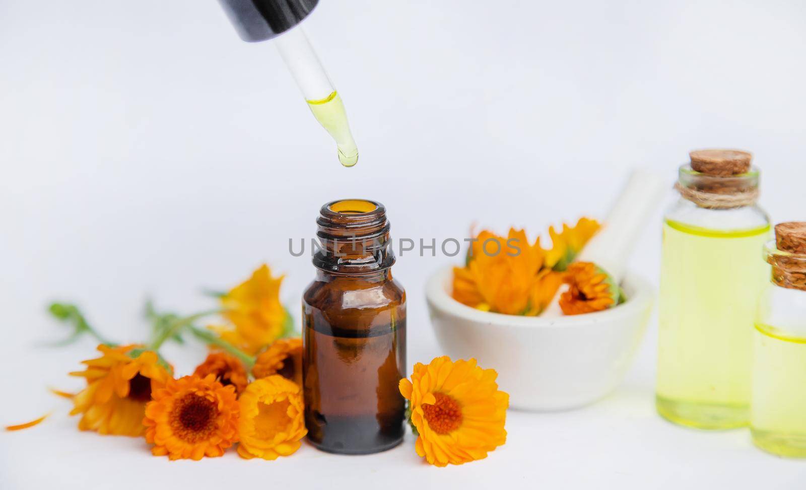 The calendula extract. Medicinal plants. Selective focus nature