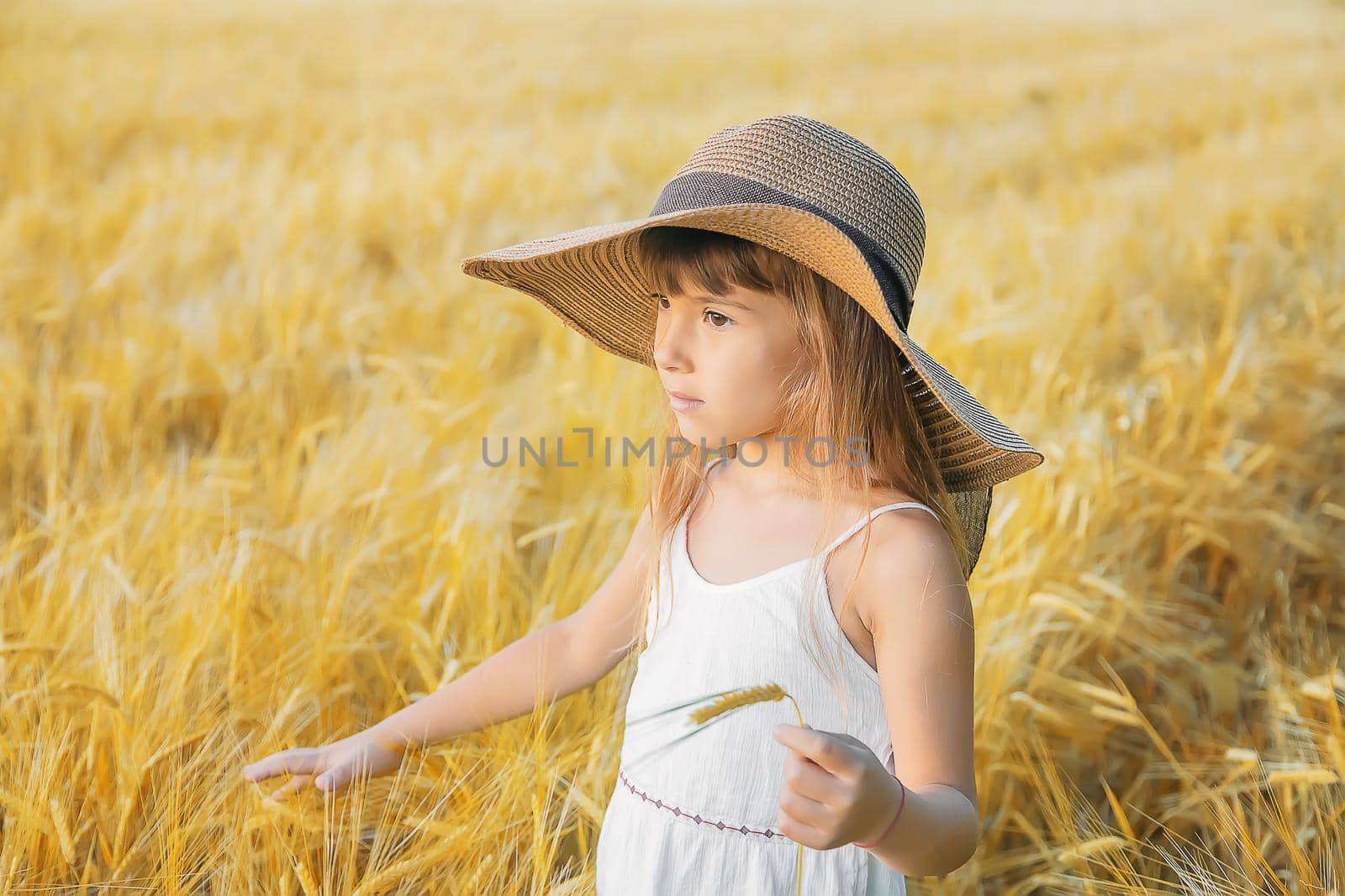 A child in a wheat field. Selective focus. by yanadjana