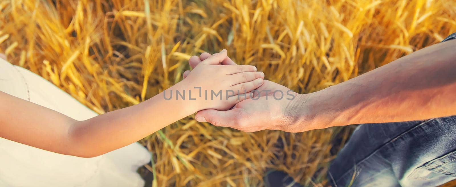 Child and father in a wheat field. Selective focus. by yanadjana