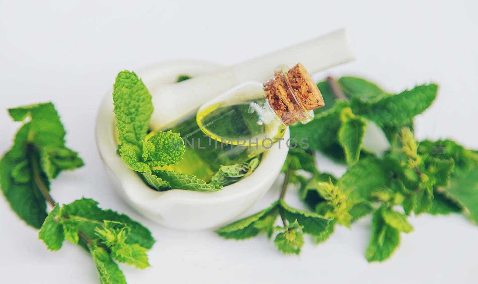 medicinal herbs. Selective focus. medicine and health nature