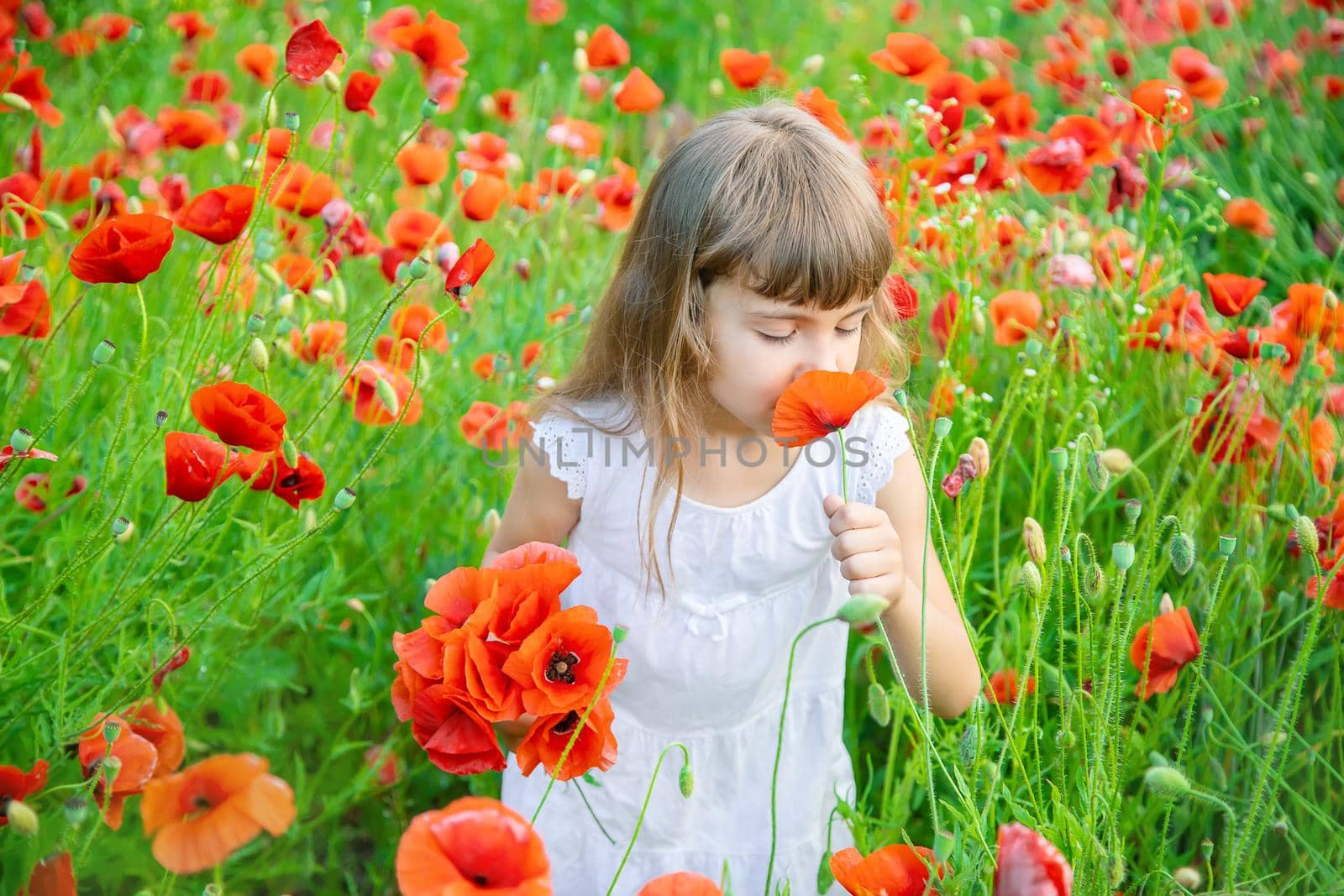 children girl in a field with poppies. selective focus.