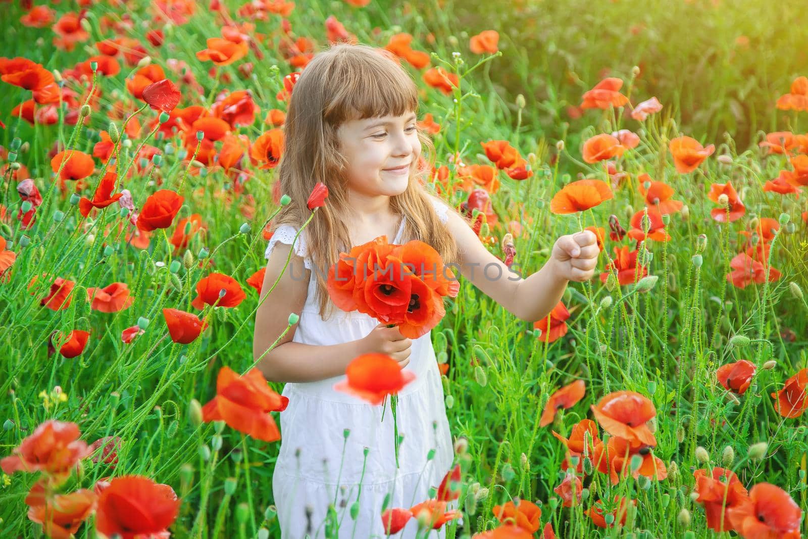 children girl in a field with poppies. selective focus.
