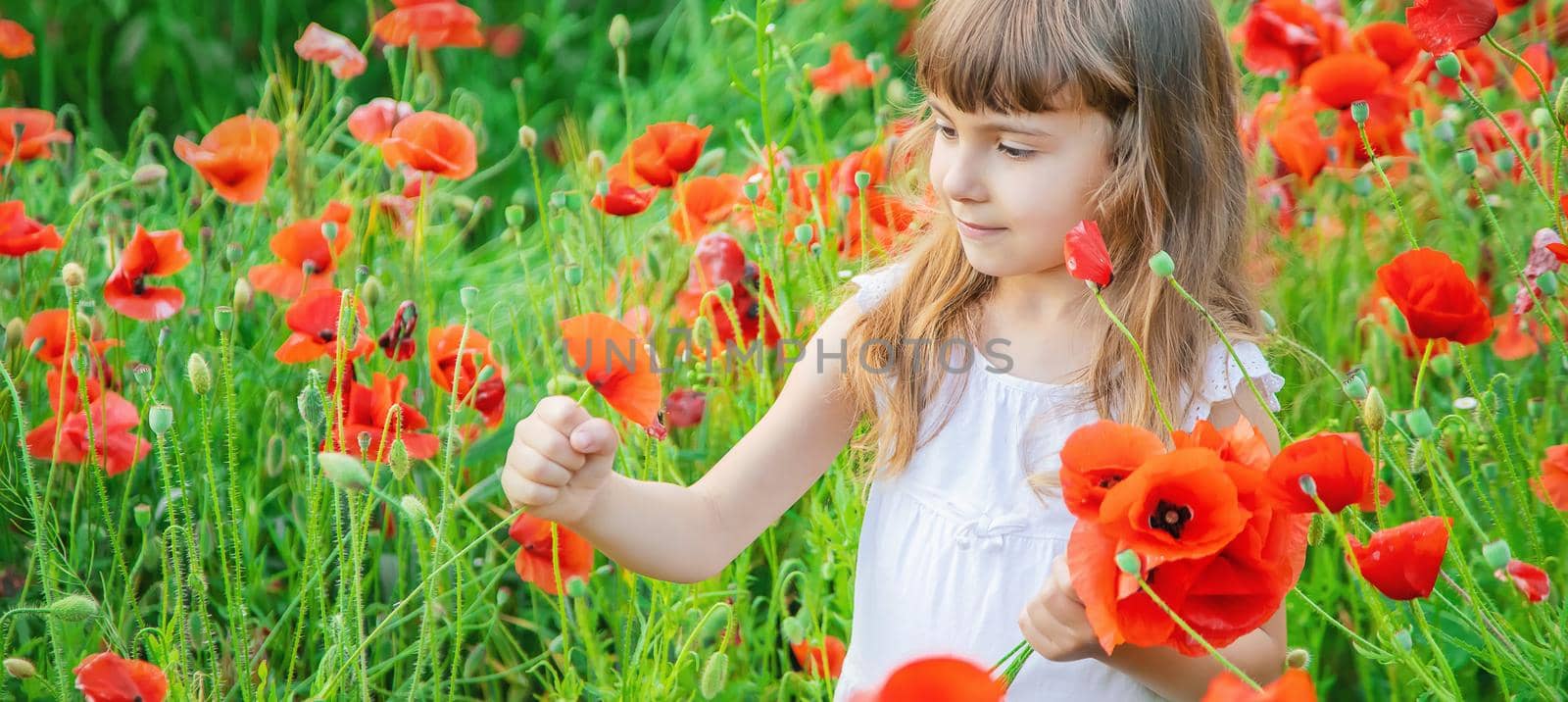 children girl in a field with poppies. selective focus.