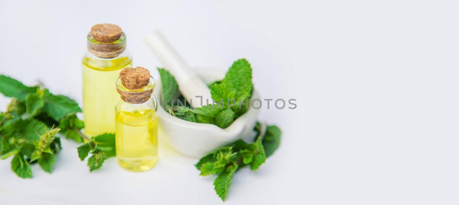 medicinal herbs. Selective focus. medicine and health. by yanadjana