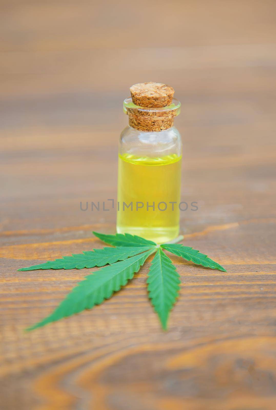 Cannabis herb and leaves for treatment broth, tincture, extract, oil. Selective focus. nature