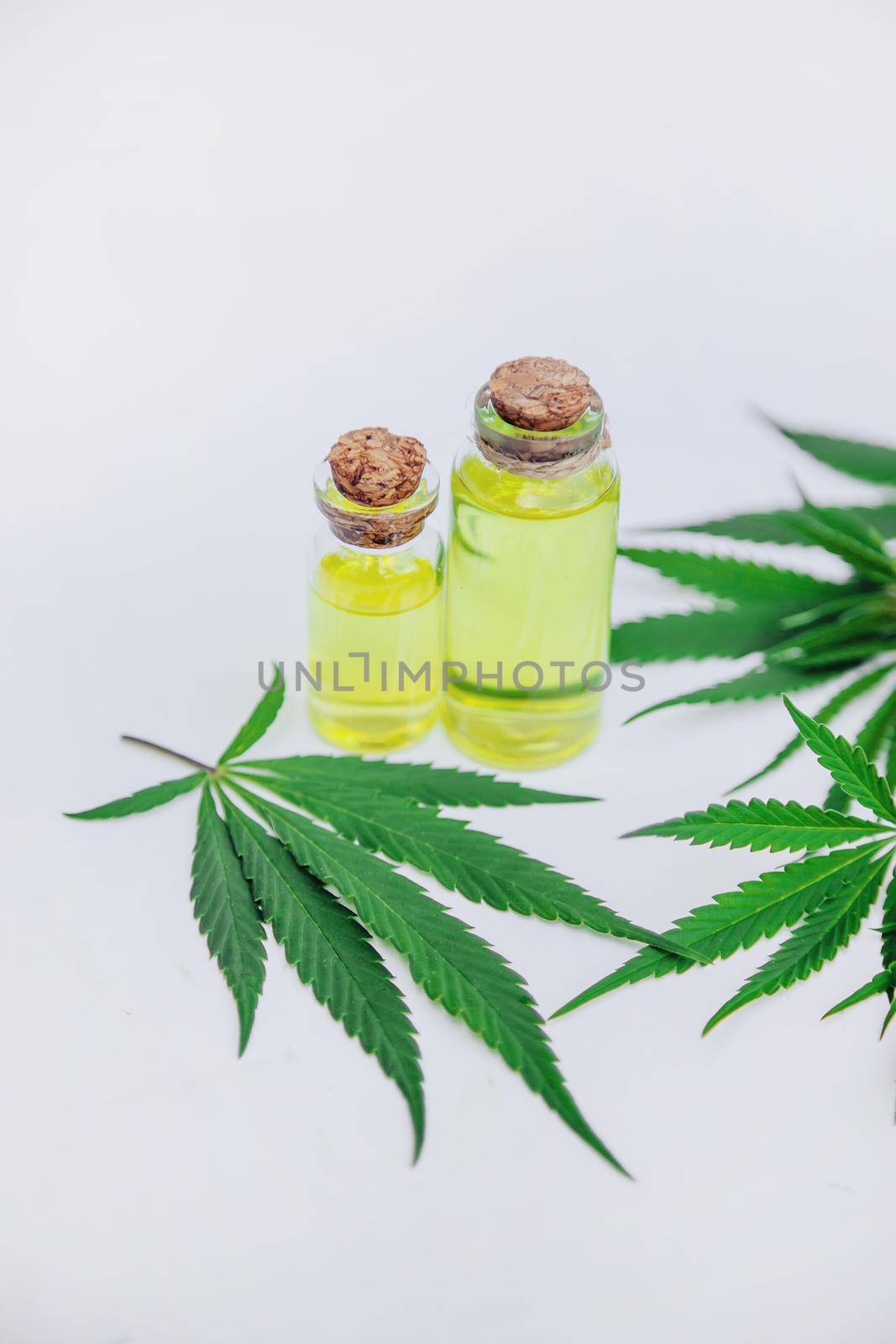 Cannabis herb and leaves for treatment broth, tincture, extract, oil. Selective focus. nature