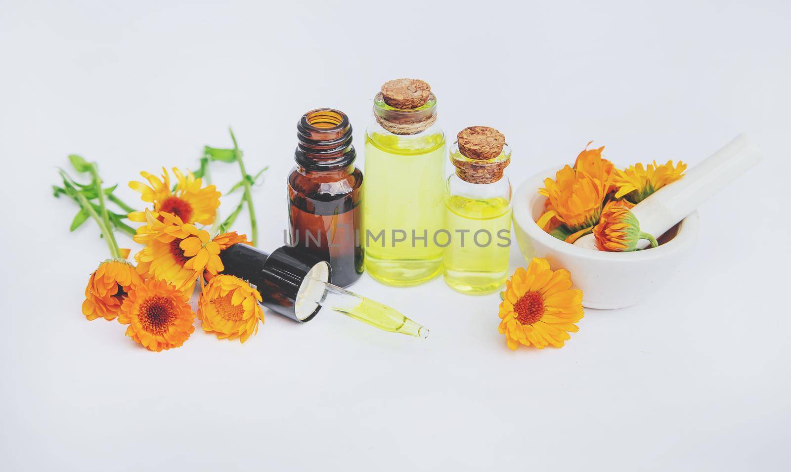 The calendula extract. Medicinal plants. Selective focus nature