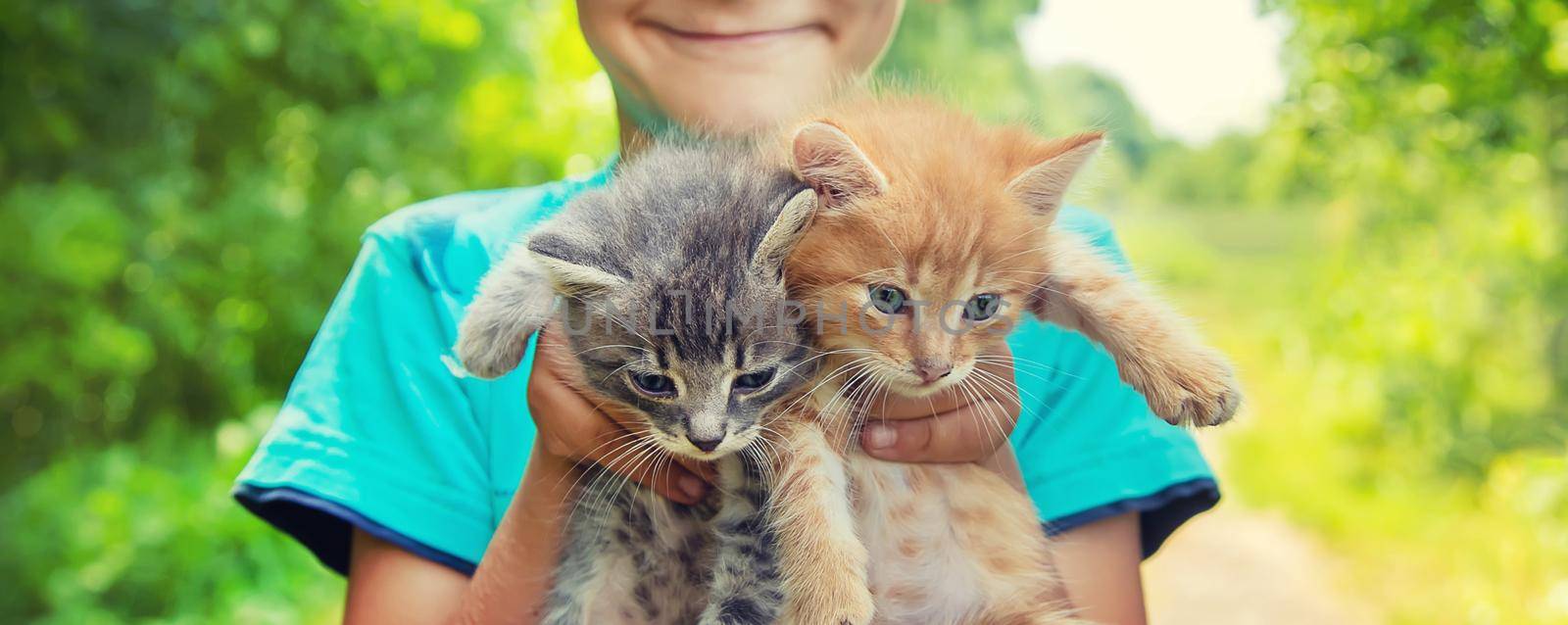 Little kittens in the hands of children. Selective focus. by yanadjana